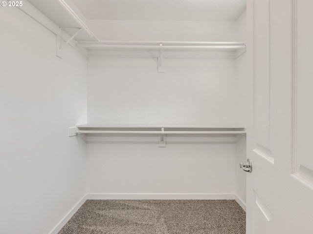 11656 SW Auklet Loop, Beaverton, OR 97007 - walk in closet with carpet flooring