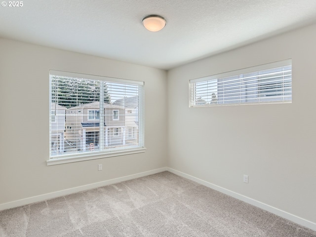 carpeted empty room with a healthy amount of sunlight and a textured ceiling