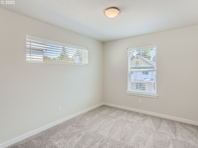 carpeted empty room with a wealth of natural light and a textured ceiling