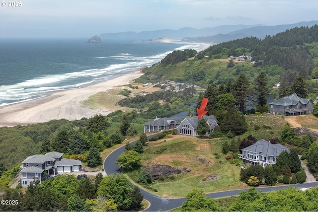 5340 Haystack Dr, Neskowin, OR 97149 - bird's eye view of extended coastline and a forest