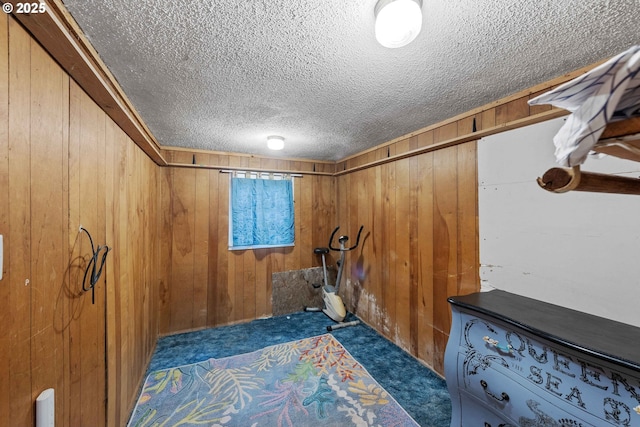 interior space featuring carpet flooring, wooden walls, and a textured ceiling