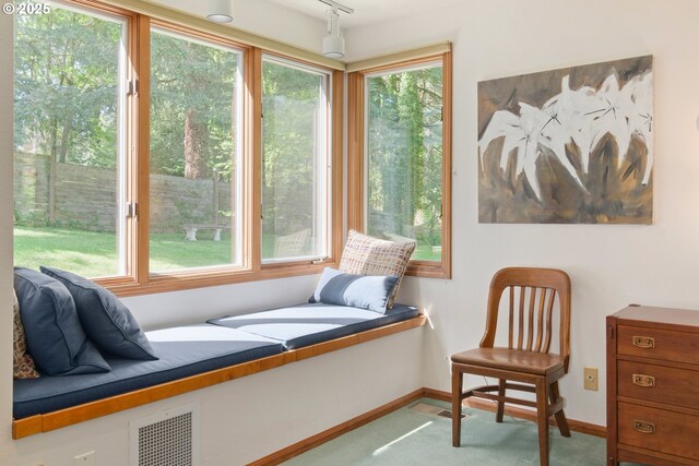 living area featuring baseboards, carpet, and visible vents