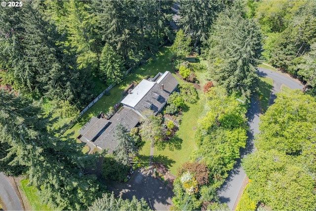 aerial view
