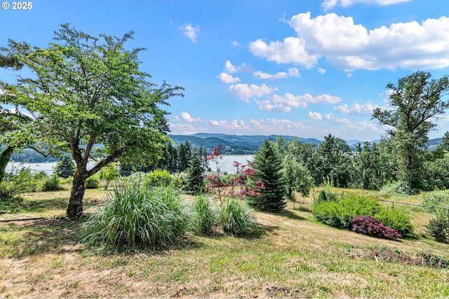 72210 Woodson Ln, Cottage Grove, OR 97424 - view of mountain background