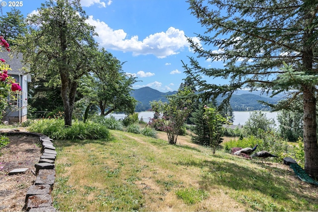 72210 Woodson Ln, Cottage Grove, OR 97424 - view of yard featuring a mountain view