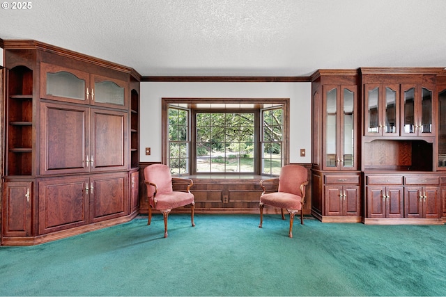 72210 Woodson Ln, Cottage Grove, OR 97424 - sitting room featuring carpet, a textured ceiling, a wainscoted wall, and ornamental molding