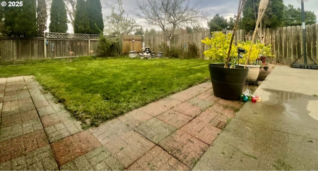 view of yard featuring a patio and a fenced backyard