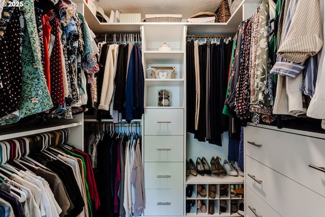 view of spacious closet