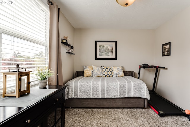 bedroom featuring carpet flooring