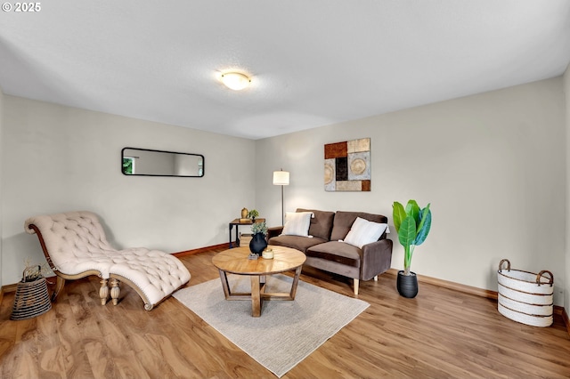 13306 NE 92nd St, Vancouver, WA 98682 - living area featuring baseboards and wood finished floors
