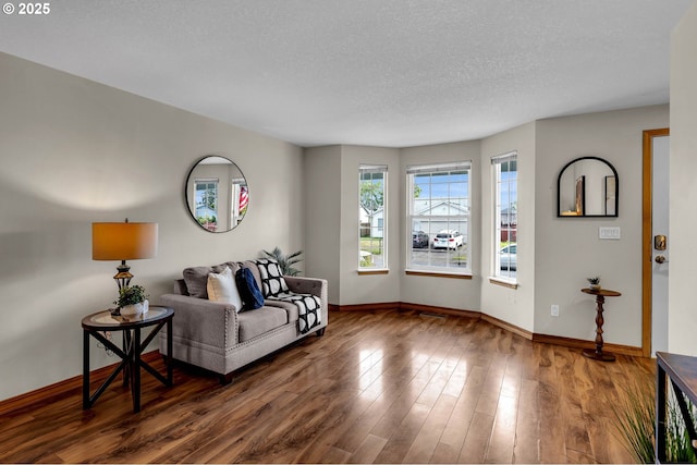 13306 NE 92nd St, Vancouver, WA 98682 - living area with baseboards, wood finished floors, and a textured ceiling