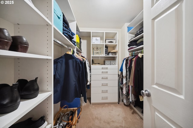 walk in closet featuring light carpet