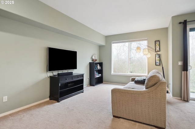 living room featuring light colored carpet