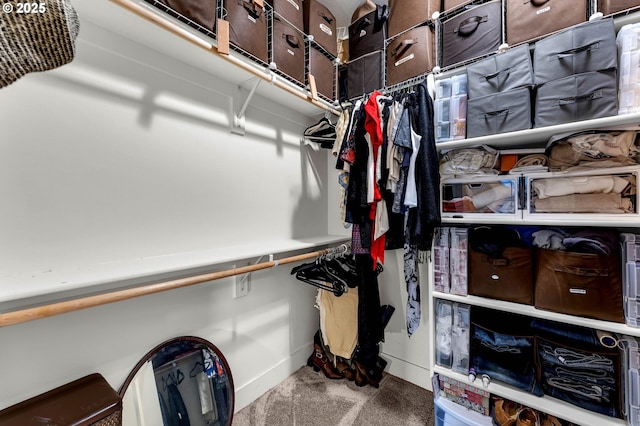 13610 NE 109th Way, Vancouver, WA 98682 - walk in closet with carpet floors