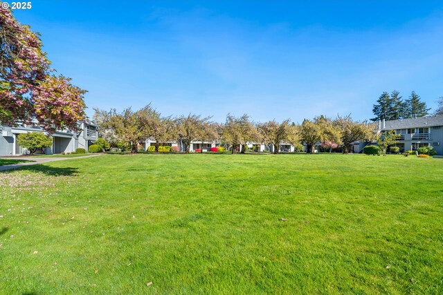 650 Harlow Rd Unit 240, Springfield, OR 97477 - view of yard