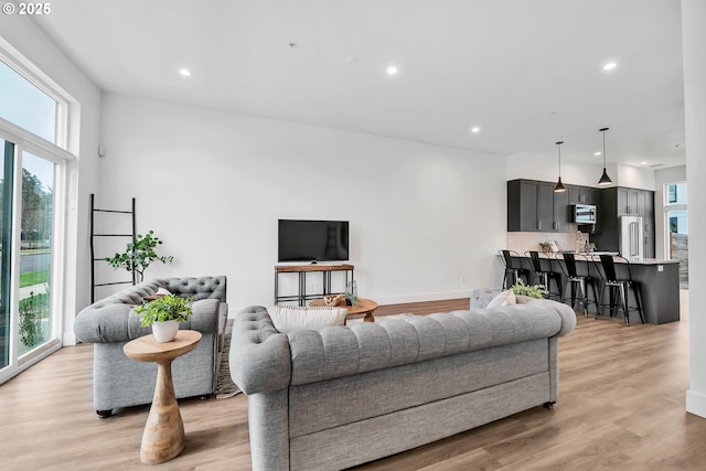 living room with light hardwood / wood-style floors