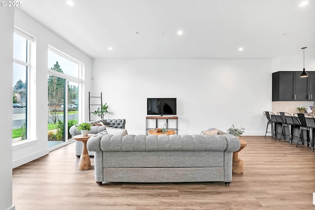 living room with light hardwood / wood-style floors