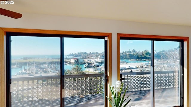 entryway featuring a water view and a healthy amount of sunlight