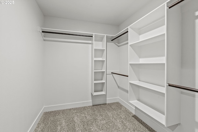 151 Alpha Dr, Longview, WA 98632 - walk in closet featuring carpet