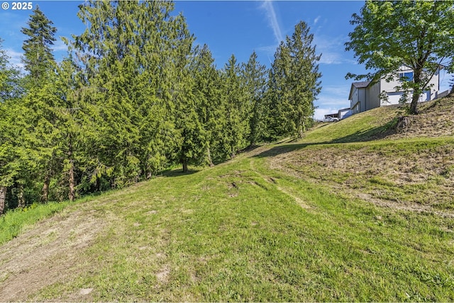 151 Alpha Dr, Longview, WA 98632 - view of green lawn