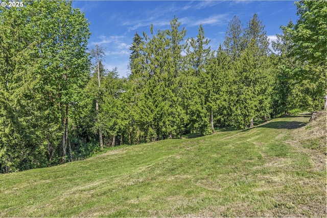 151 Alpha Dr, Longview, WA 98632 - view of green lawn featuring a forest view