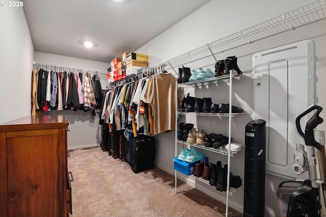 spacious closet with carpet flooring