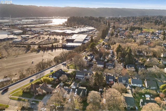 drone / aerial view featuring a mountain view