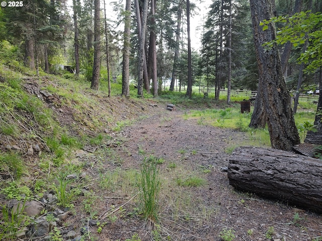 59831 River Canyon Rd, Imnaha, OR 97842