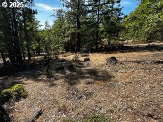 1 Orchard Heights Rd, Goldendale, WA 98620