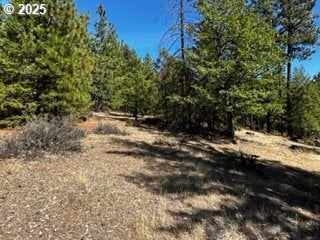 1 Orchard Heights Rd, Goldendale, WA 98620