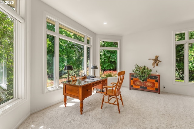 558 Wulff Ln, Roseburg, OR 97471 - carpeted home office with baseboards