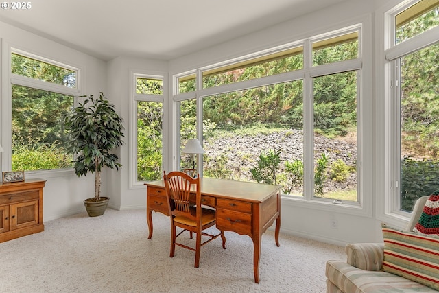 558 Wulff Ln, Roseburg, OR 97471 - carpeted office space with baseboards