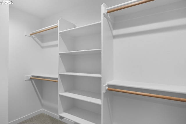 spacious closet with carpet flooring