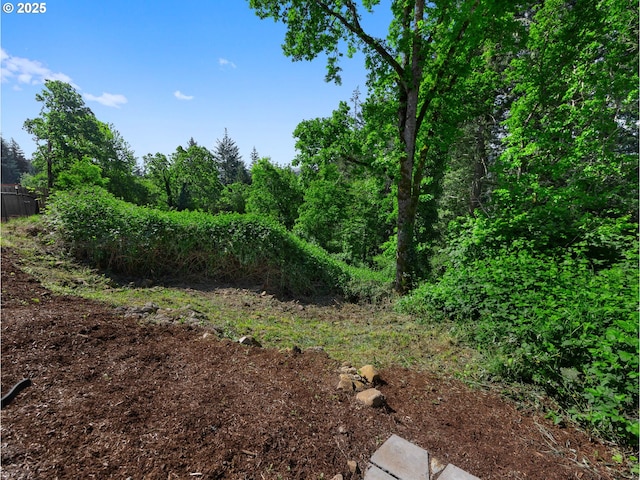 view of undeveloped land