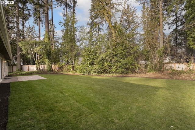 view of yard featuring a patio