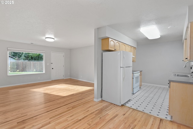 kitchen featuring sink, white appliances, light hardwood / wood-style floors, a textured ceiling, and light brown cabinetry