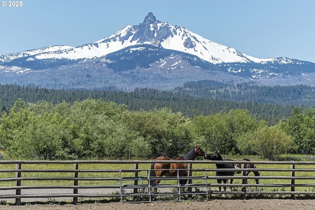 14023 Hawks Beard Unit Gm164, Black Butte Ranch, OR 97759 - view of mountain background featuring a heavily wooded area and rural landscape