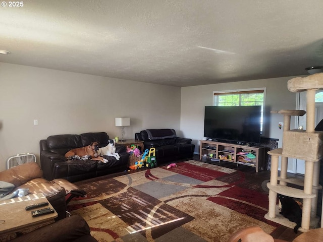 living room with a textured ceiling