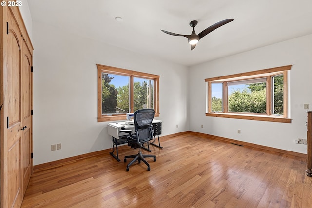 702 B Ave, La Grande, OR 97850 - office space featuring baseboards, plenty of natural light, light wood-type flooring, and ceiling fan