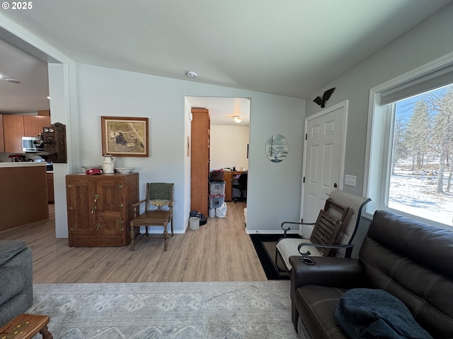 living room featuring light wood-type flooring