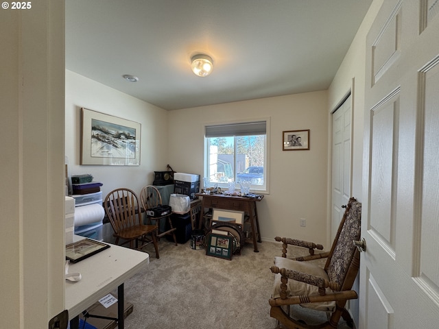 office featuring light colored carpet