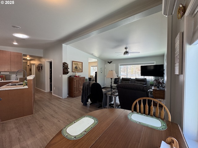 dining area with ceiling fan and light hardwood / wood-style floors