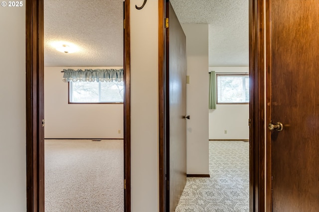 hall featuring plenty of natural light, a textured ceiling, and carpet floors