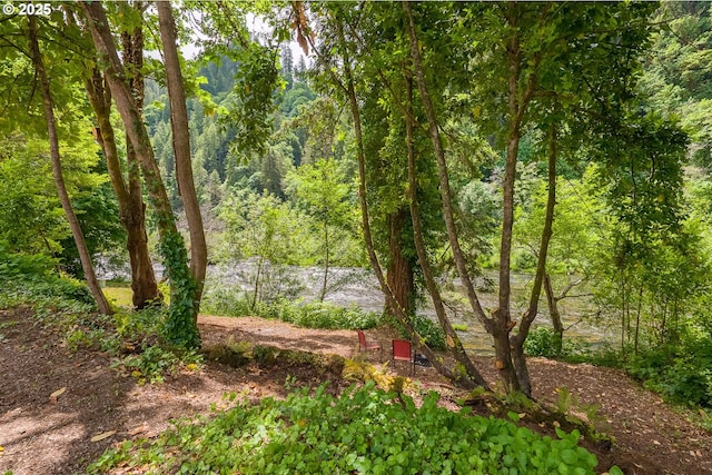 12785 Sutherland Rd, Swisshome, OR 97480 - view of woods