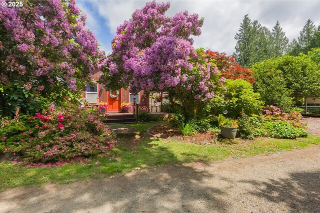12785 Sutherland Rd, Swisshome, OR 97480 - view of property hidden behind natural elements