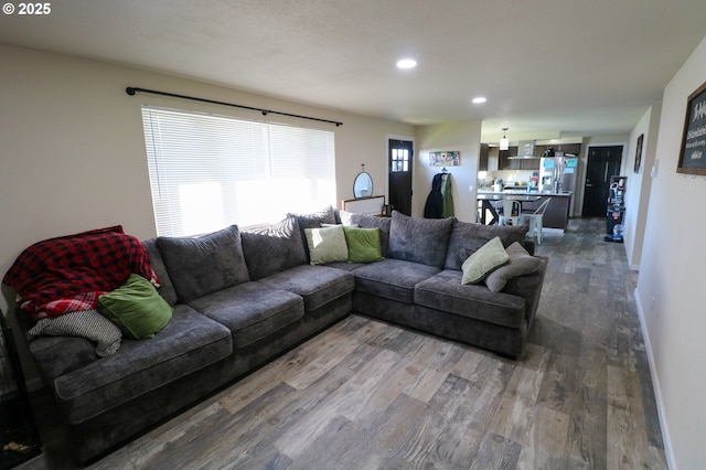 living room featuring wood-type flooring