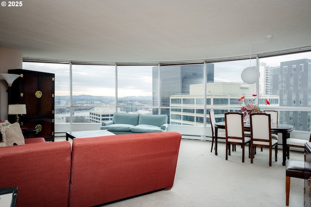 carpeted living room featuring a view of city and a textured ceiling