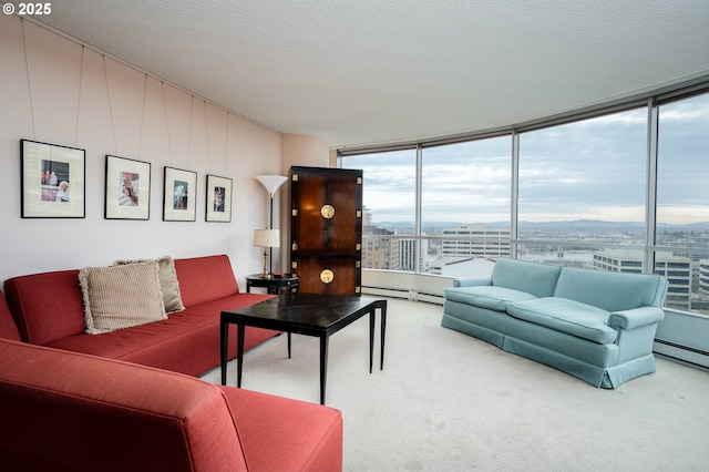 carpeted living area featuring a baseboard heating unit, a city view, and a textured ceiling