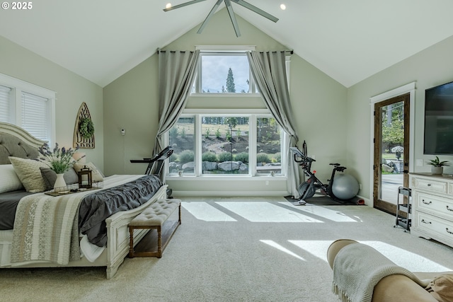 carpeted bedroom featuring lofted ceiling