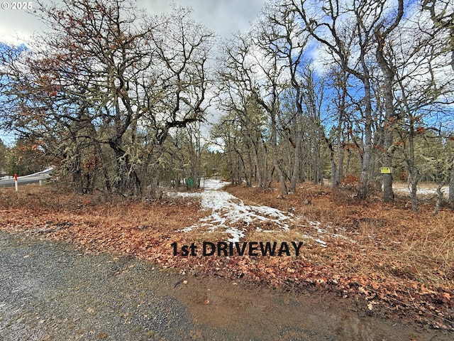 Listing photo 3 for Centerville Hwy, Lyle WA 98635